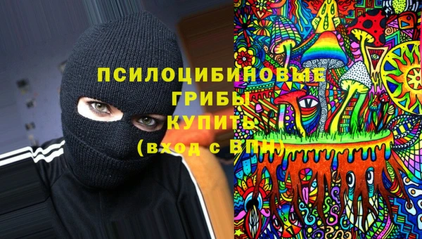гидропоника Богданович