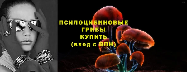 mdpv Богородск
